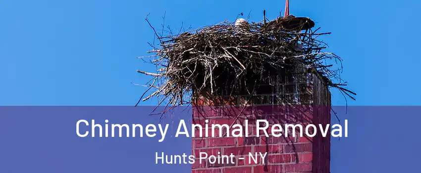 Chimney Animal Removal Hunts Point - NY