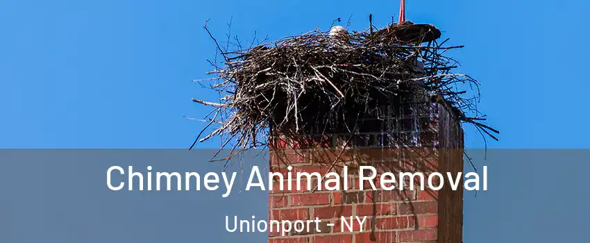 Chimney Animal Removal Unionport - NY
