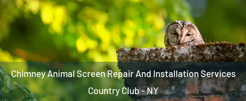 Chimney Animal Screen Repair And Installation Services Country Club - NY