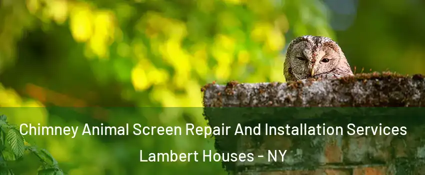 Chimney Animal Screen Repair And Installation Services Lambert Houses - NY