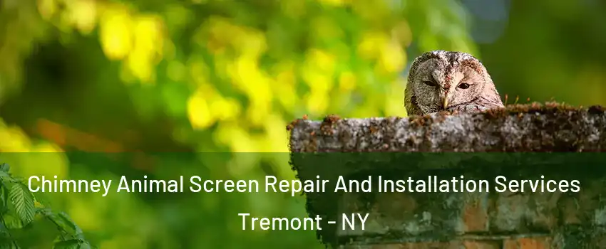 Chimney Animal Screen Repair And Installation Services Tremont - NY