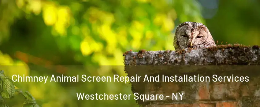 Chimney Animal Screen Repair And Installation Services Westchester Square - NY