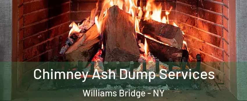 Chimney Ash Dump Services Williams Bridge - NY