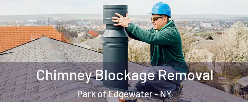 Chimney Blockage Removal Park of Edgewater - NY