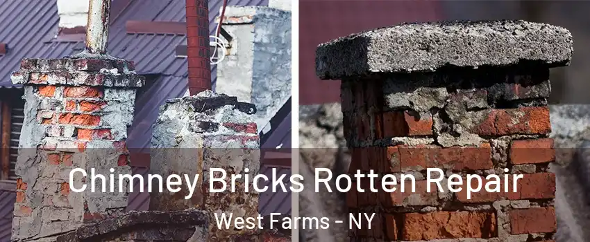 Chimney Bricks Rotten Repair West Farms - NY