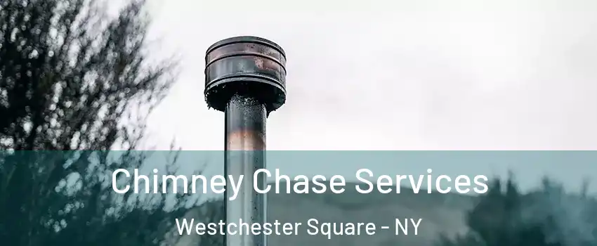 Chimney Chase Services Westchester Square - NY