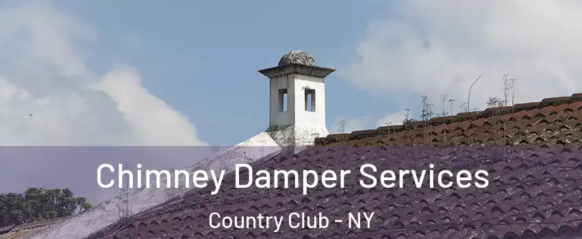 Chimney Damper Services Country Club - NY