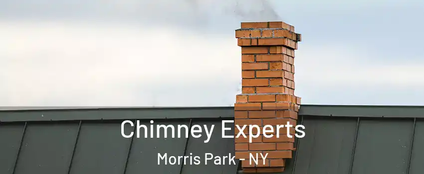 Chimney Experts Morris Park - NY