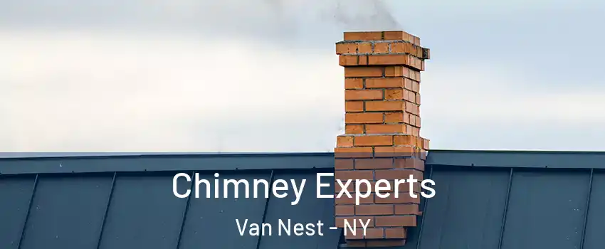 Chimney Experts Van Nest - NY