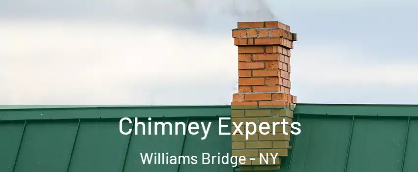 Chimney Experts Williams Bridge - NY
