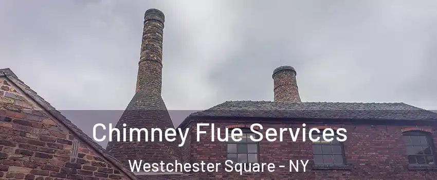 Chimney Flue Services Westchester Square - NY