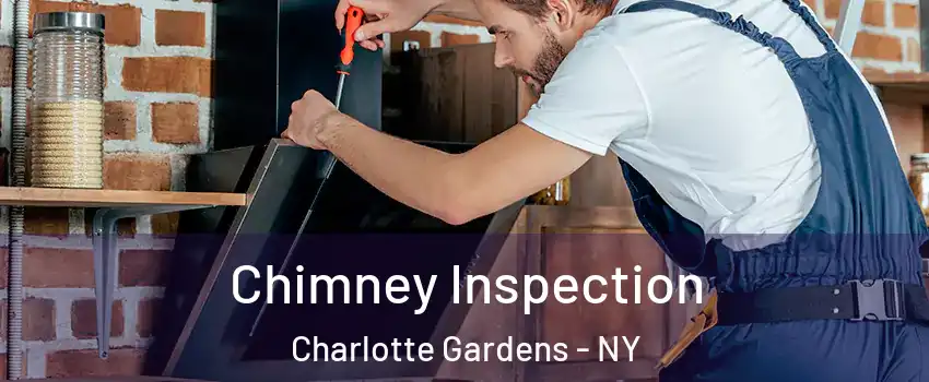 Chimney Inspection Charlotte Gardens - NY