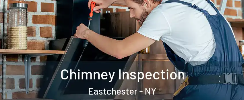 Chimney Inspection Eastchester - NY