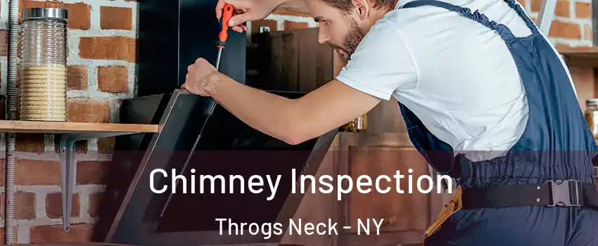 Chimney Inspection Throgs Neck - NY
