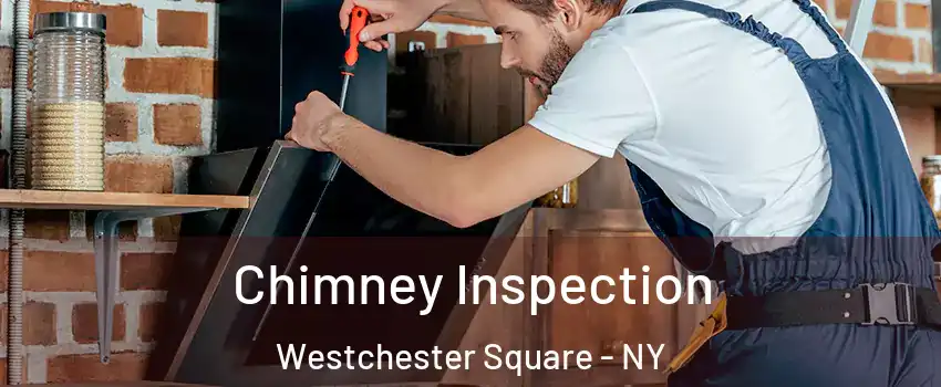 Chimney Inspection Westchester Square - NY