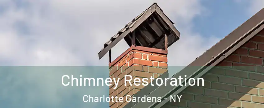 Chimney Restoration Charlotte Gardens - NY