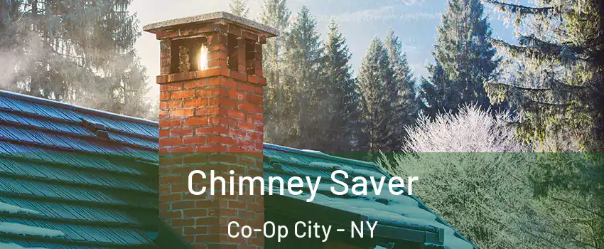 Chimney Saver Co-Op City - NY