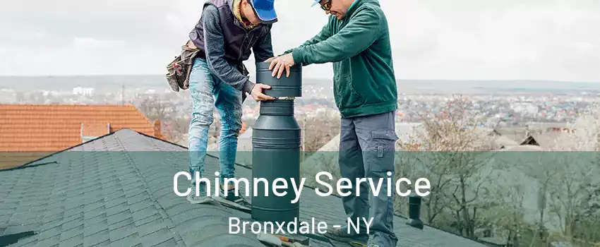 Chimney Service Bronxdale - NY