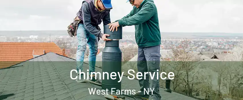 Chimney Service West Farms - NY