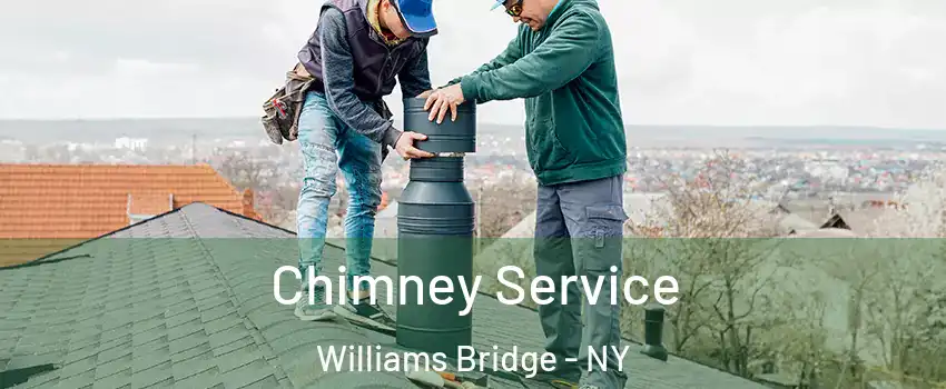 Chimney Service Williams Bridge - NY