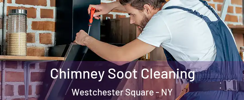 Chimney Soot Cleaning Westchester Square - NY
