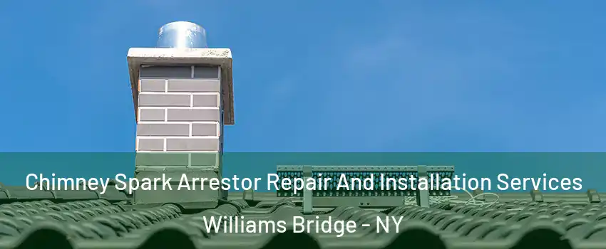 Chimney Spark Arrestor Repair And Installation Services Williams Bridge - NY