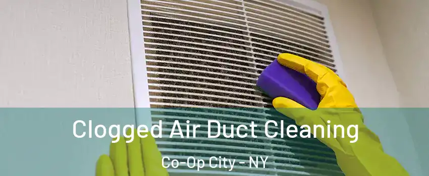 Clogged Air Duct Cleaning Co-Op City - NY