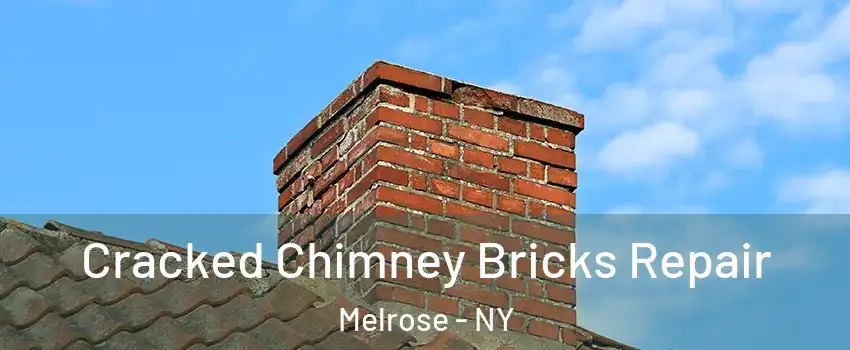 Cracked Chimney Bricks Repair Melrose - NY
