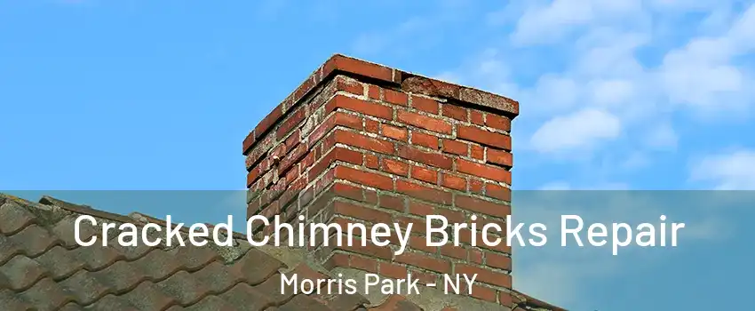 Cracked Chimney Bricks Repair Morris Park - NY