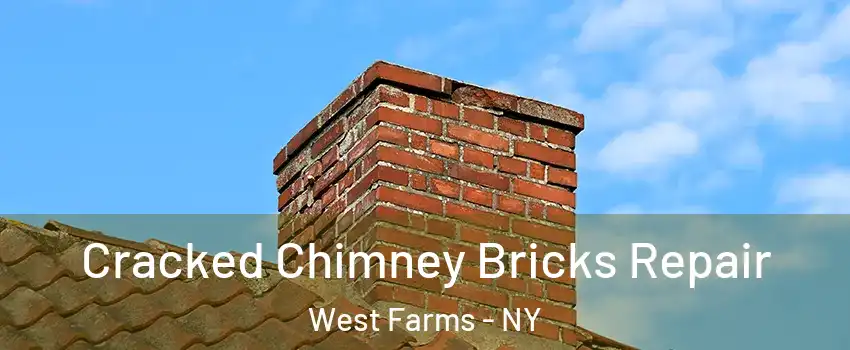 Cracked Chimney Bricks Repair West Farms - NY