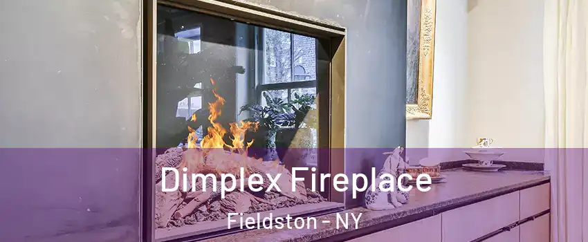 Dimplex Fireplace Fieldston - NY
