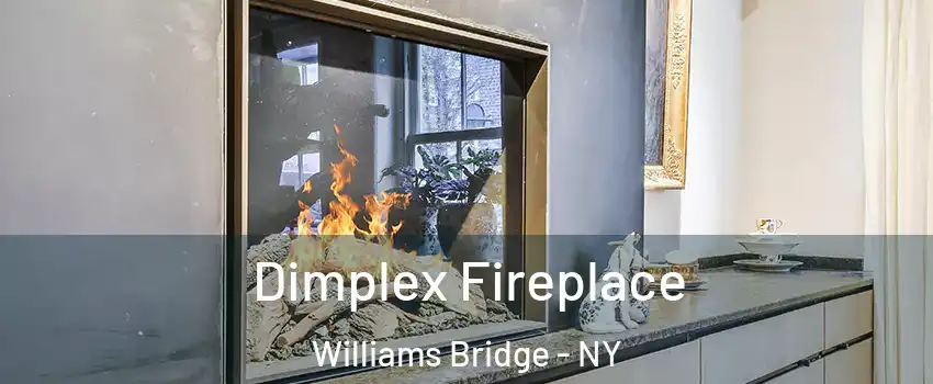 Dimplex Fireplace Williams Bridge - NY
