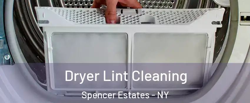 Dryer Lint Cleaning Spencer Estates - NY
