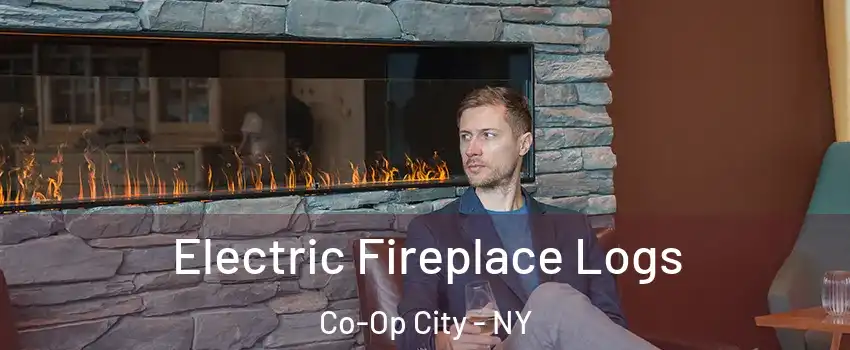 Electric Fireplace Logs Co-Op City - NY