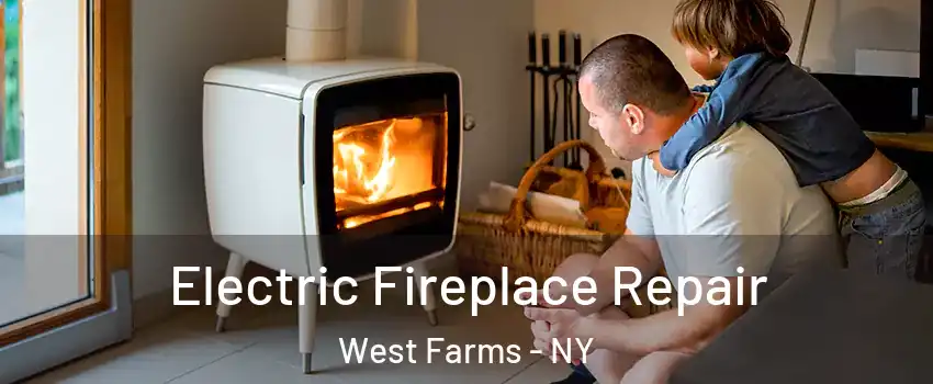 Electric Fireplace Repair West Farms - NY