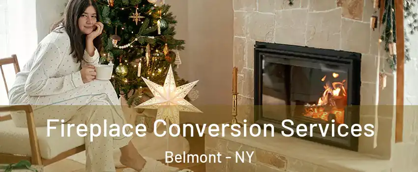 Fireplace Conversion Services Belmont - NY