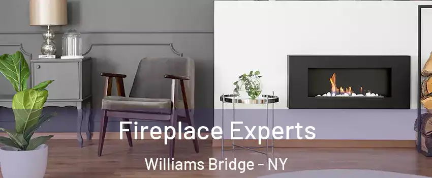 Fireplace Experts Williams Bridge - NY