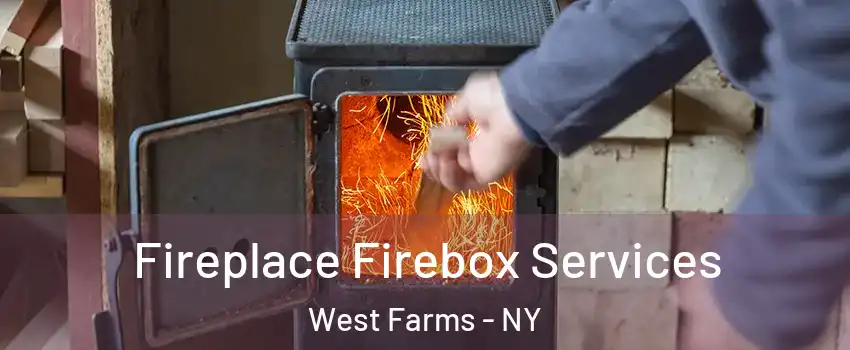 Fireplace Firebox Services West Farms - NY
