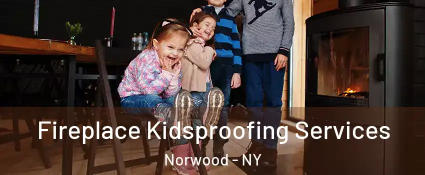 Fireplace Kidsproofing Services Norwood - NY