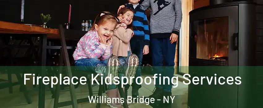 Fireplace Kidsproofing Services Williams Bridge - NY