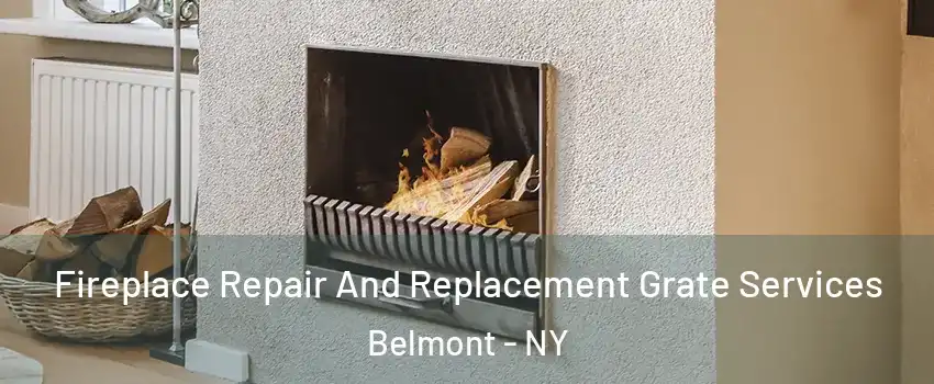 Fireplace Repair And Replacement Grate Services Belmont - NY