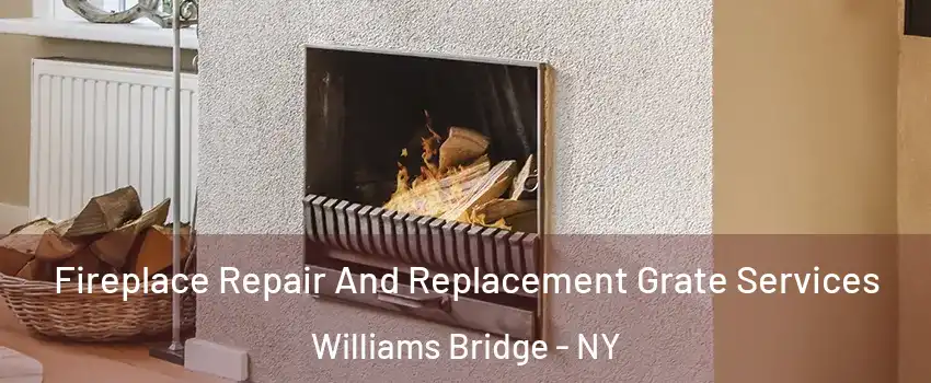 Fireplace Repair And Replacement Grate Services Williams Bridge - NY