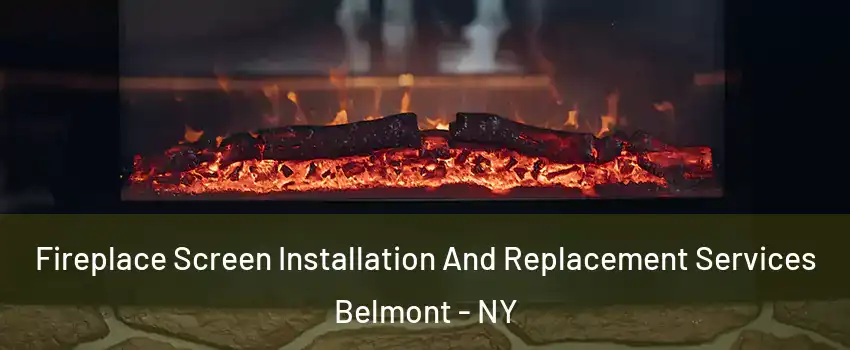 Fireplace Screen Installation And Replacement Services Belmont - NY