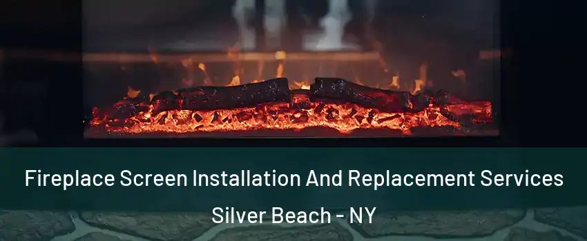 Fireplace Screen Installation And Replacement Services Silver Beach - NY