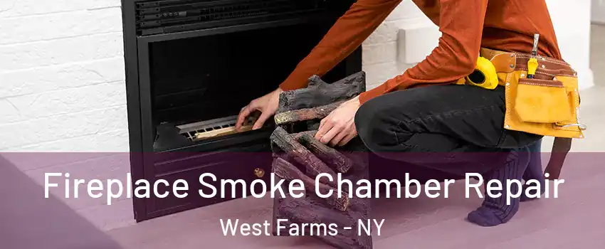 Fireplace Smoke Chamber Repair West Farms - NY