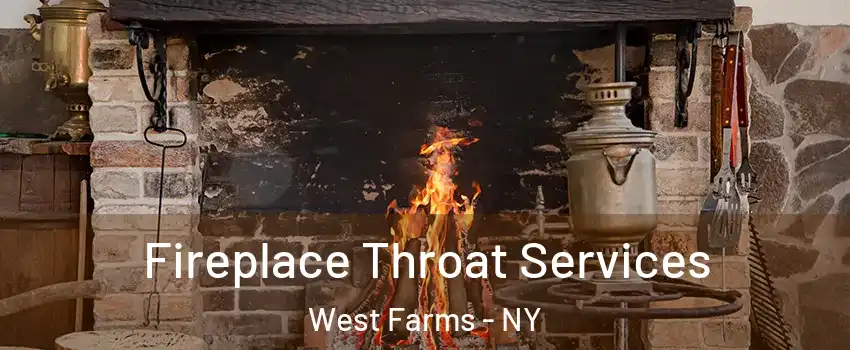 Fireplace Throat Services West Farms - NY