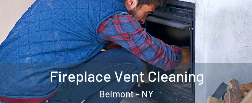 Fireplace Vent Cleaning Belmont - NY