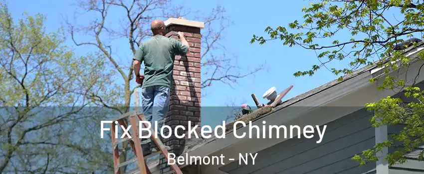 Fix Blocked Chimney Belmont - NY
