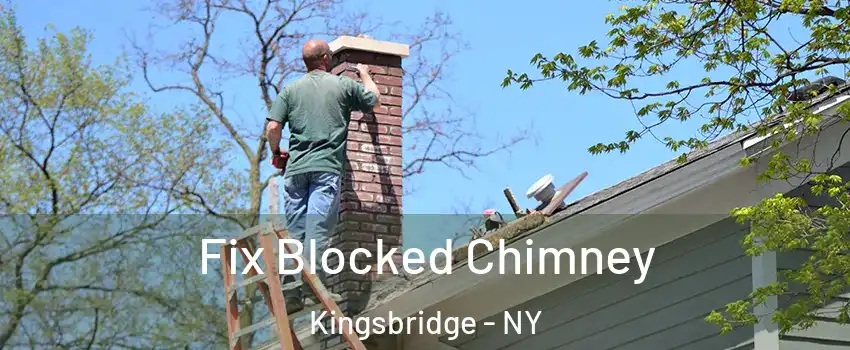 Fix Blocked Chimney Kingsbridge - NY