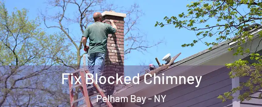 Fix Blocked Chimney Pelham Bay - NY